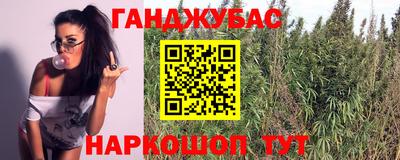 гидра Можайск