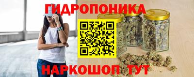 гидра Можайск
