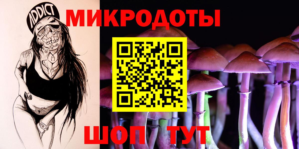 Галлюциногенные грибы Psilocybe  Псилоцибиновые грибы Magic Shrooms  Находка  Вход с VPN 